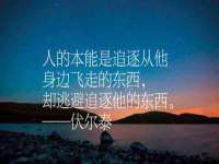 泾河新城影格无限网络科技工作室