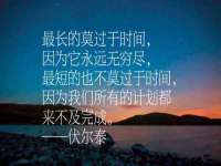泾河新城影格无限网络科技工作室