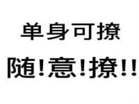 泾河新城影格无限网络科技工作室