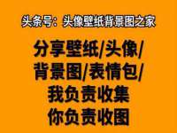 泾河新城影格无限网络科技工作室