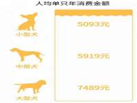 泾河新城影格无限网络科技工作室