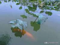 泾河新城影格无限网络科技工作室