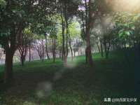 泾河新城影格无限网络科技工作室