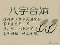 泾河新城影格无限网络科技工作室