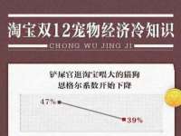 泾河新城影格无限网络科技工作室