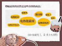 泾河新城影格无限网络科技工作室