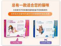 泾河新城影格无限网络科技工作室