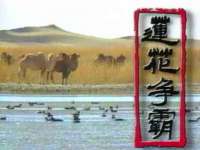 泾河新城影格无限网络科技工作室