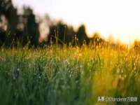 泾河新城影格无限网络科技工作室