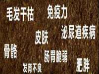 泾河新城影格无限网络科技工作室