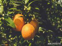 泾河新城影格无限网络科技工作室