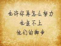 泾河新城影格无限网络科技工作室