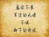 泾河新城影格无限网络科技工作室