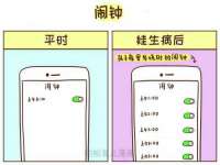 泾河新城影格无限网络科技工作室