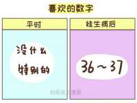 泾河新城影格无限网络科技工作室