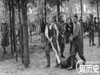 泾河新城影格无限网络科技工作室