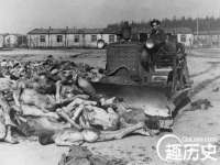 泾河新城影格无限网络科技工作室