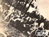 泾河新城影格无限网络科技工作室