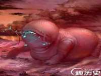 泾河新城影格无限网络科技工作室