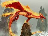 泾河新城影格无限网络科技工作室