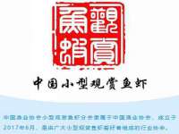 泾河新城影格无限网络科技工作室