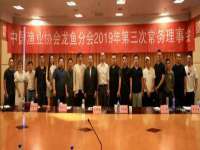 泾河新城影格无限网络科技工作室
