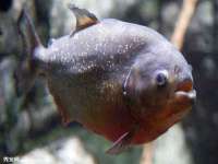 泾河新城影格无限网络科技工作室