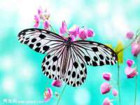 泾河新城影格无限网络科技工作室