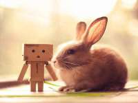泾河新城影格无限网络科技工作室