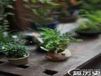 泾河新城影格无限网络科技工作室