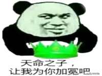 泾河新城影格无限网络科技工作室