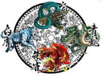 泾河新城影格无限网络科技工作室