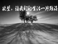 泾河新城影格无限网络科技工作室