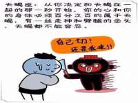 泾河新城影格无限网络科技工作室