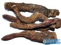 泾河新城影格无限网络科技工作室