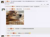 泾河新城影格无限网络科技工作室