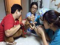 泾河新城影格无限网络科技工作室