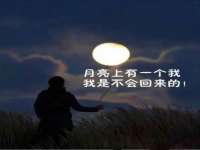泾河新城影格无限网络科技工作室