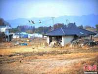 泾河新城影格无限网络科技工作室