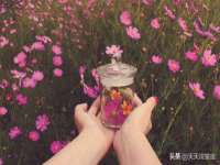 泾河新城影格无限网络科技工作室