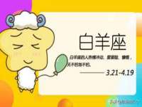 泾河新城影格无限网络科技工作室