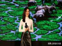 泾河新城影格无限网络科技工作室