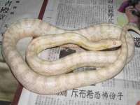 泾河新城影格无限网络科技工作室