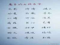 泾河新城影格无限网络科技工作室