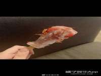 泾河新城影格无限网络科技工作室