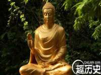泾河新城影格无限网络科技工作室
